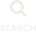 Search Icon