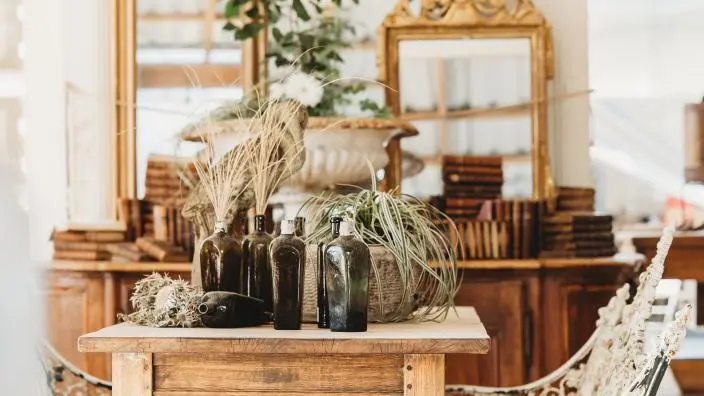 Wooden table with potted cactus and dried grasses, ornate gold mirrors and white carved chair in bright interior showroom