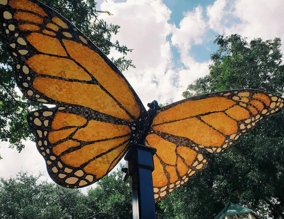 Monarch of McKinney