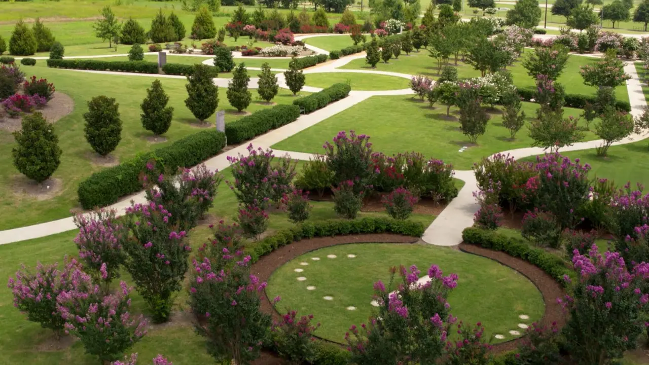 Drone shot view of the Crape Myrtle trail Park in McKinney with blooming pink trees