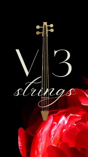 V3 Strings