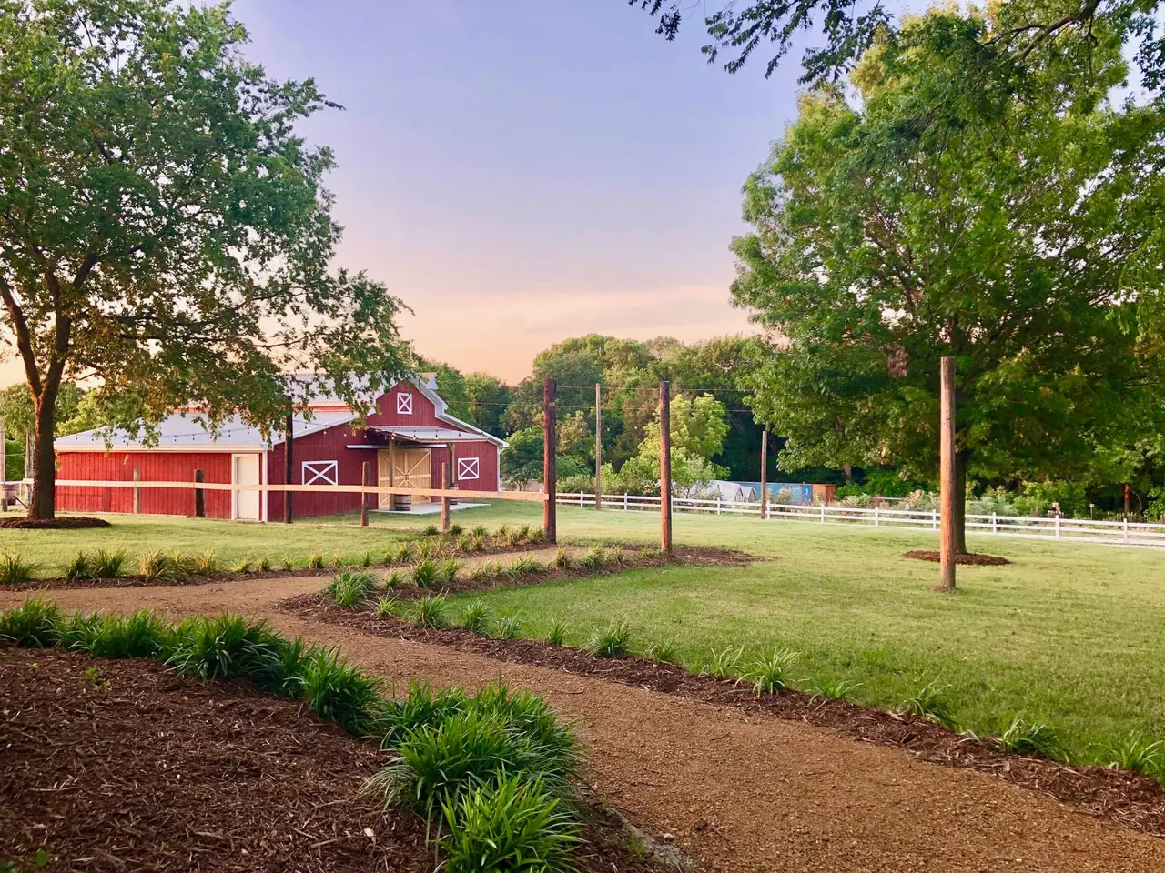 Red barn with white fencing and paddock surrounded by large trees at dusk