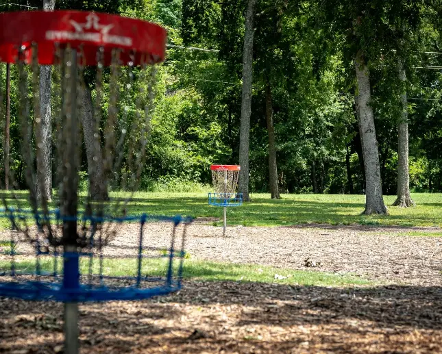 Disc golf baskets on a course surrounded by tall trees and green grass, with red and blue basket targets visible