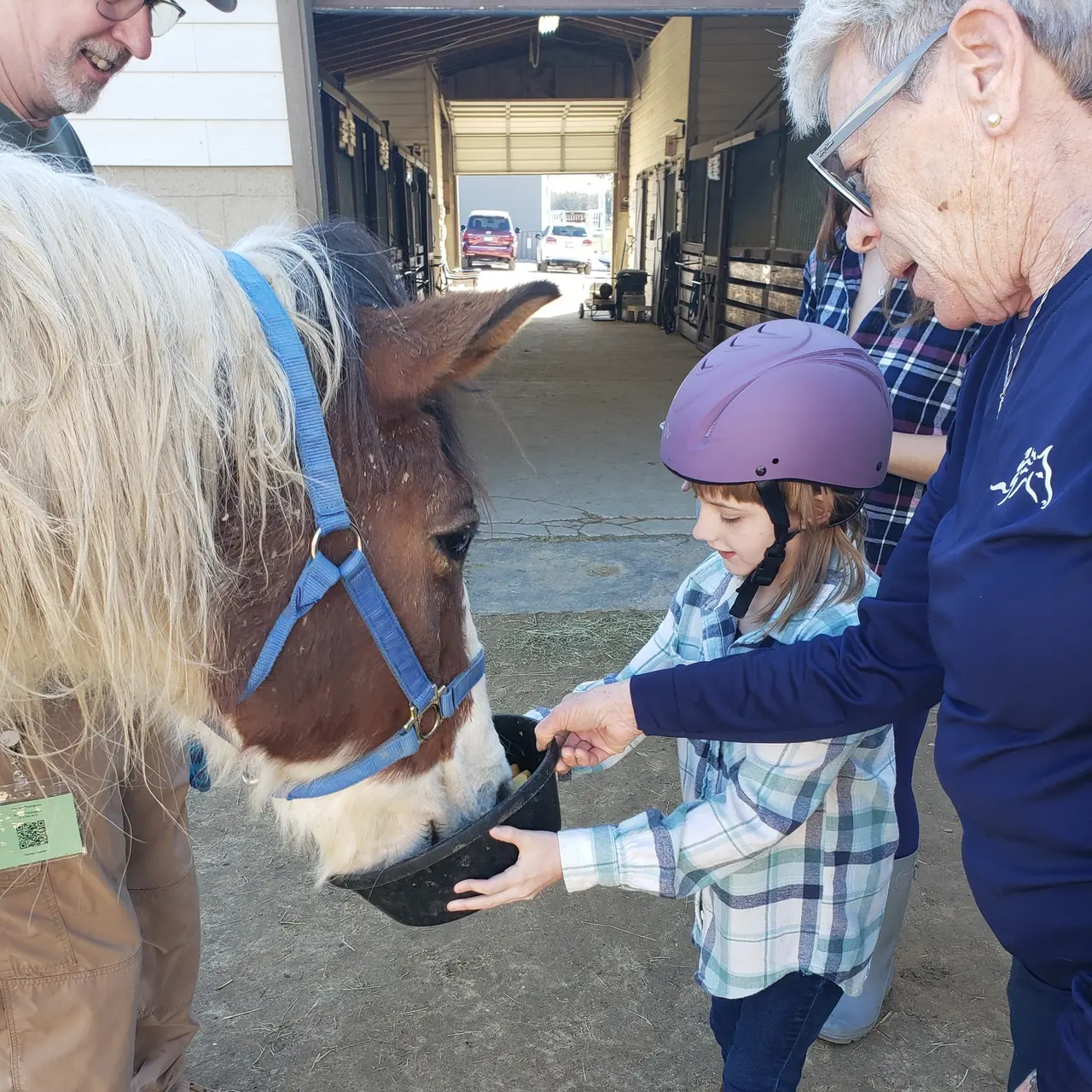 Child in riding helmet feeding a brown horse with white blaze inside a barn, supervised by adults