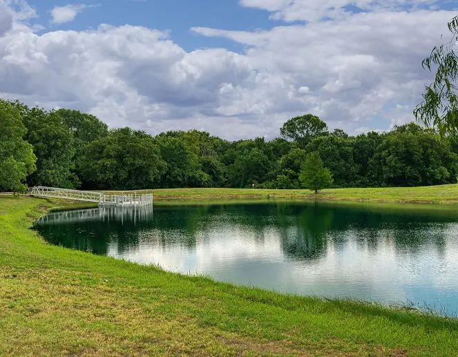 Wooden dock extending into a calm pond surrounded by lush green grass, trees, and blue sky with white clouds