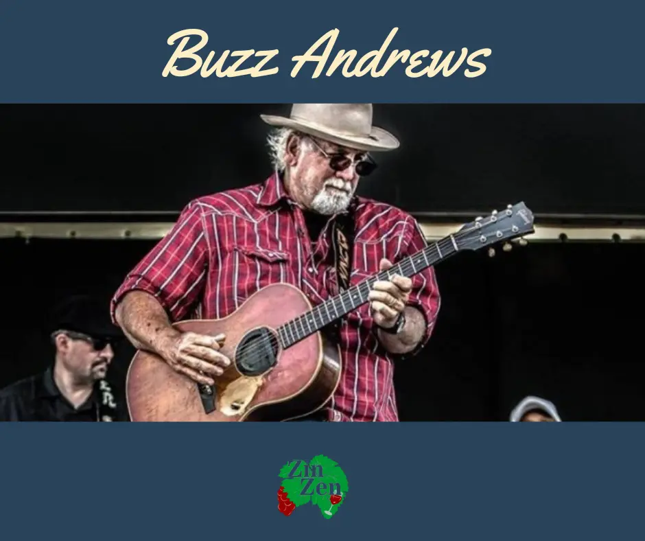 Musician in red plaid shirt and cowboy hat playing acoustic guitar on stage