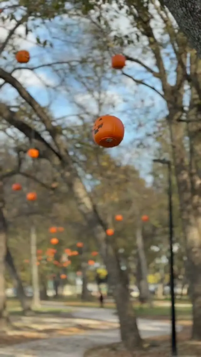 Autumn is worth making plans for. Spend a weekend wandering historic streets, finding your new favorite coffee shop, shopping local, dining on a pumpkin covered patio. Soak up everything the season br