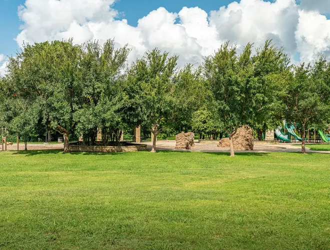 Open grass field with mature trees, playground equipment, and clear blue sky with white clouds