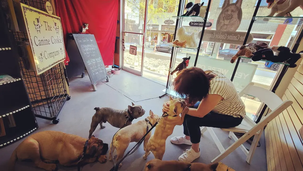 Shop Dogs of Downtown McKinney