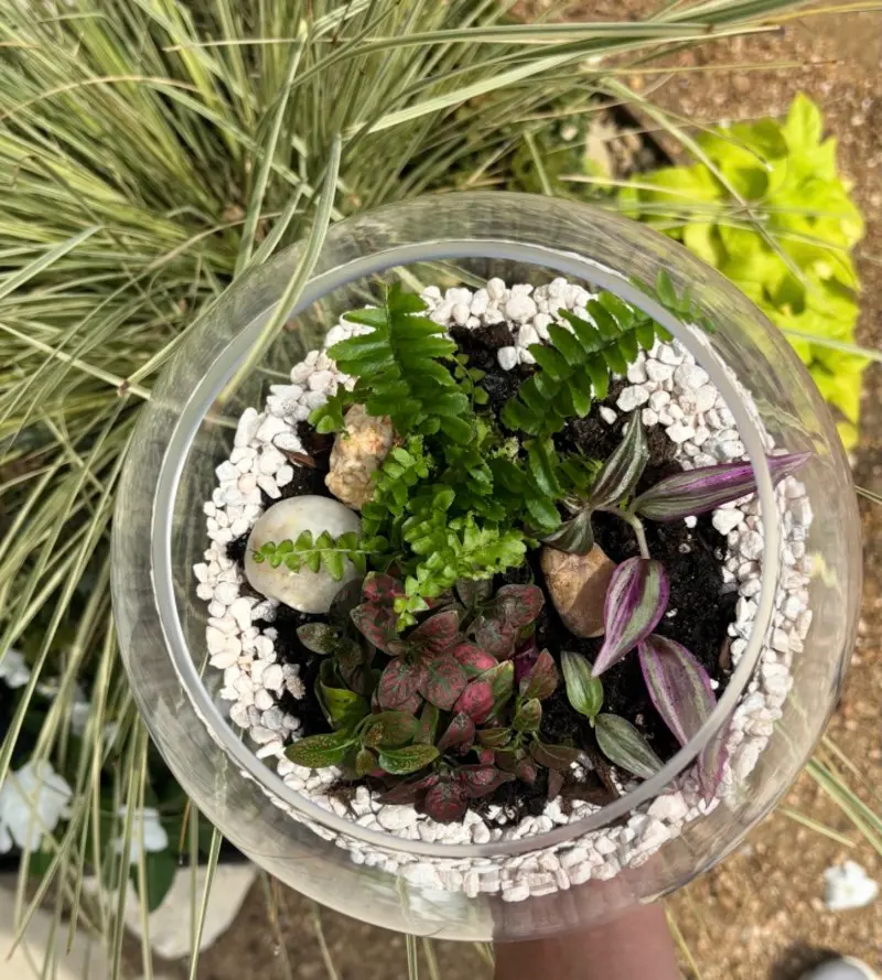 Terrarium Workshop at TUPPS Brewery - Grain Room