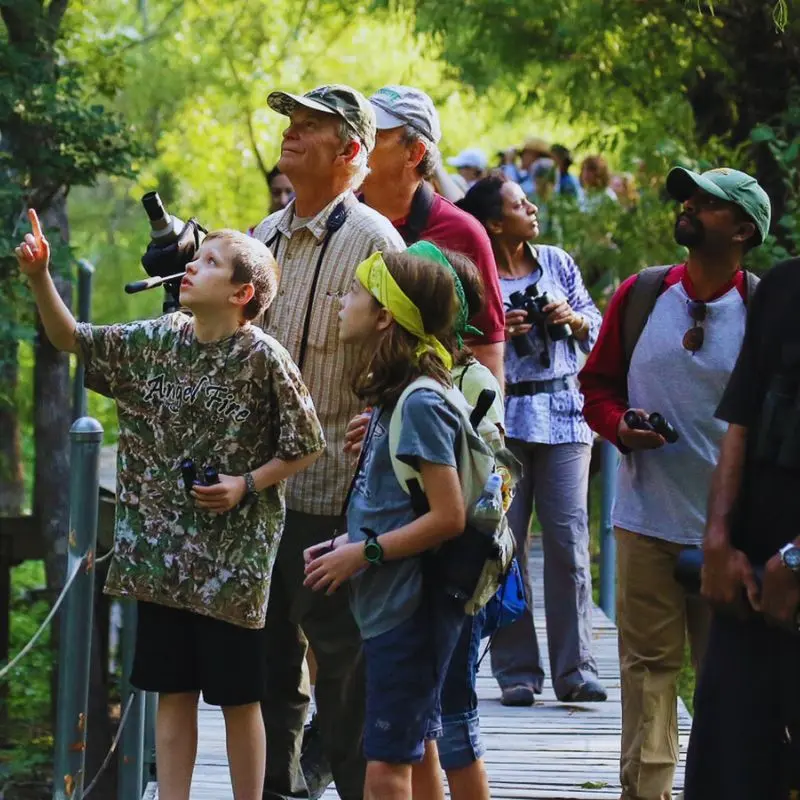 Kids and adults on a walking trail looking at wildlife and plants