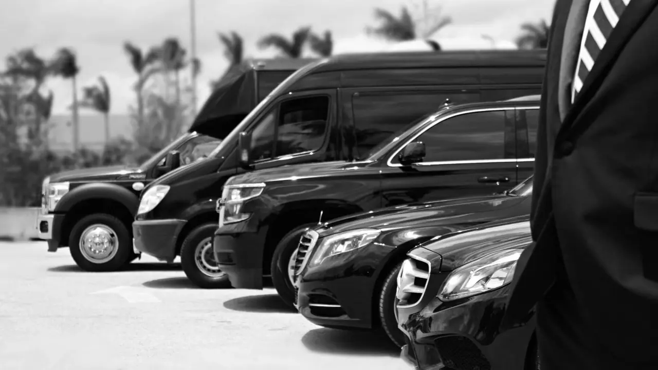 Row of black luxury vehicles parked in line with palm trees visible in background