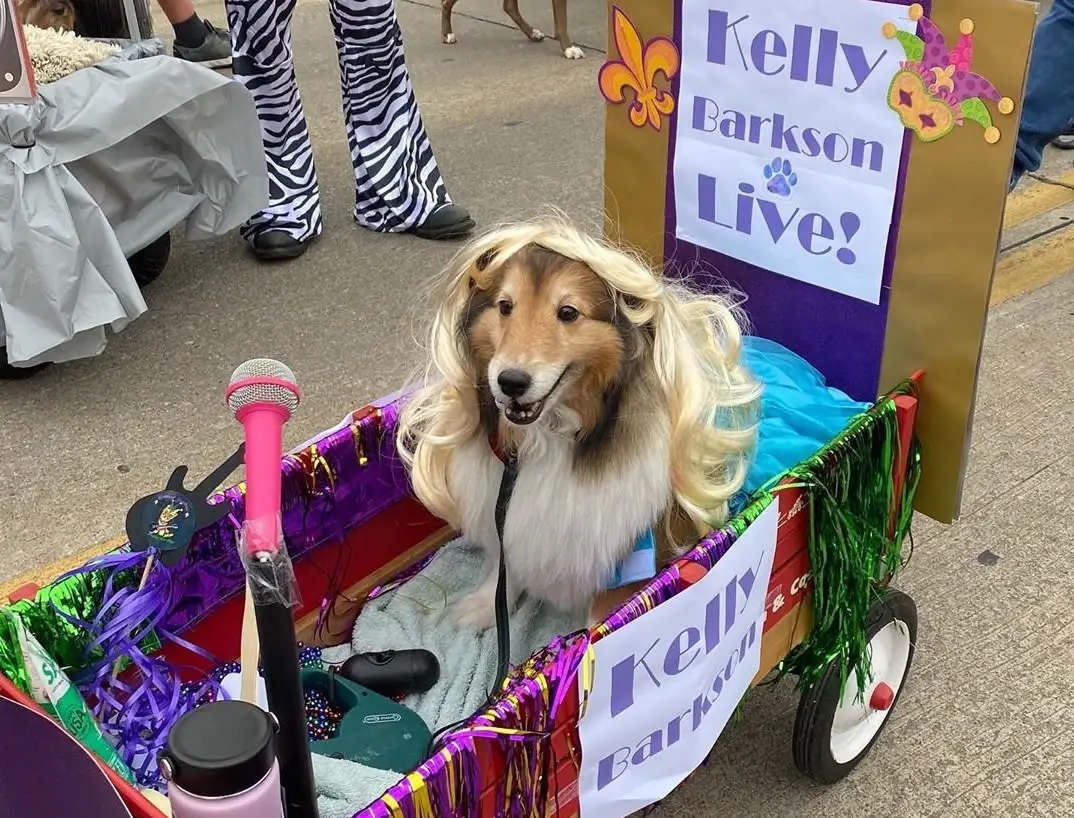dog at Krewe of Barkus dressed as Kelly Clarkson