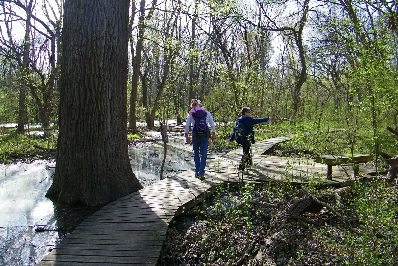 Budget-Friendly Things to Do in McKinney, TX