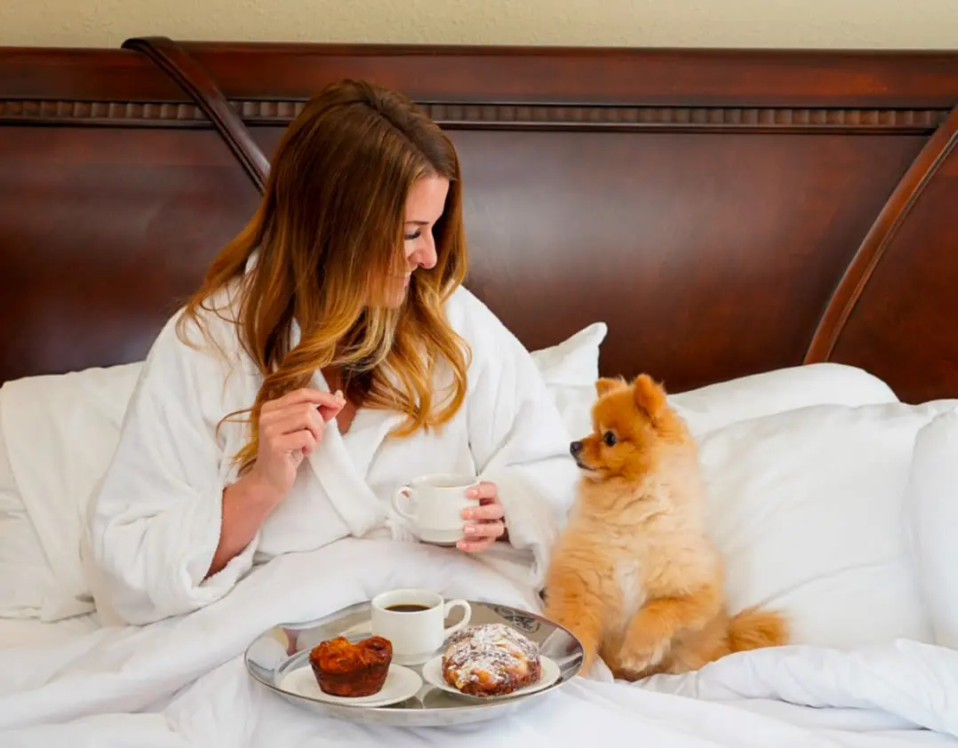 photo of a woman in a robe in bed with breakfast and her little brown dog next to her at The Grand