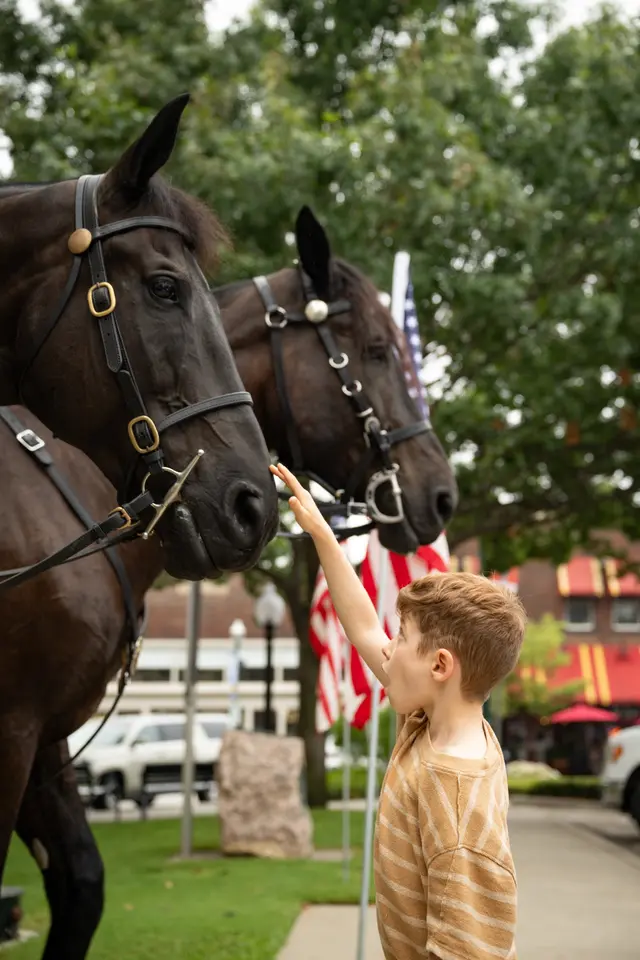 A boy reaching up to the carriage horses on the downtown McKinney square